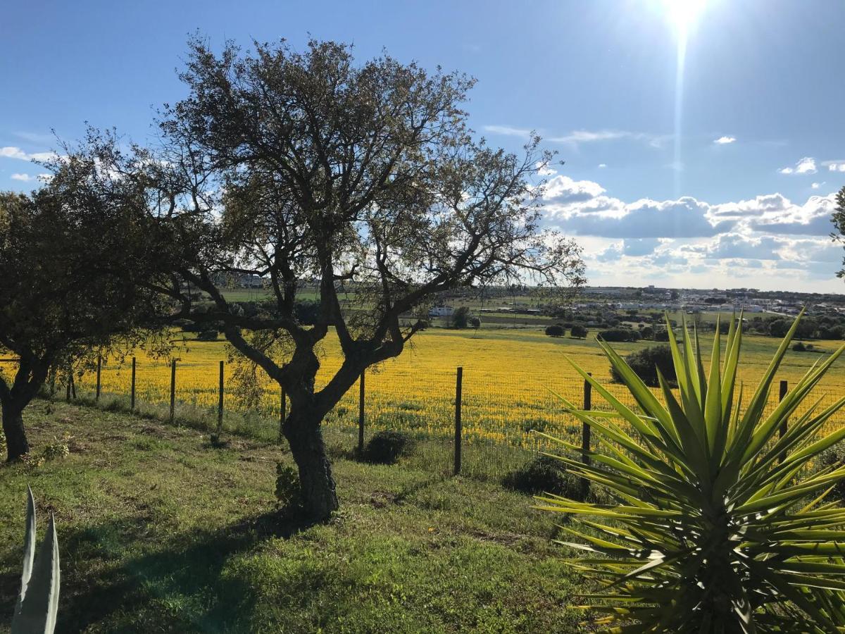 Vila Quinta Da Colina Évora Exteriér fotografie